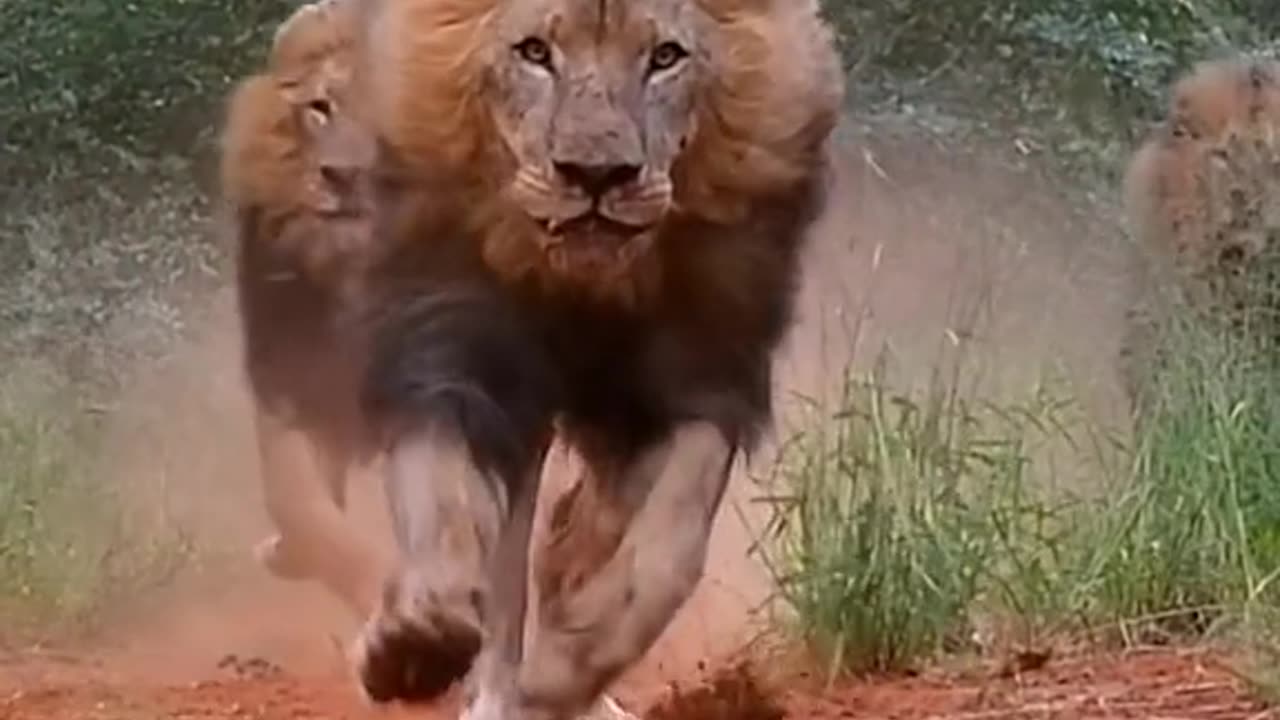 Strength of an eagle