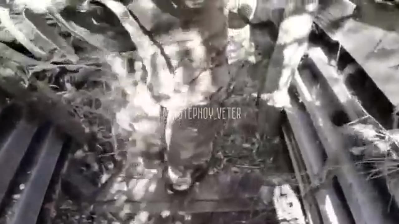 🚶‍♂️ Ukraine Russia War | Russian Fighters in Belogorovka Trench | Showing Killed Ukrainians | RCF