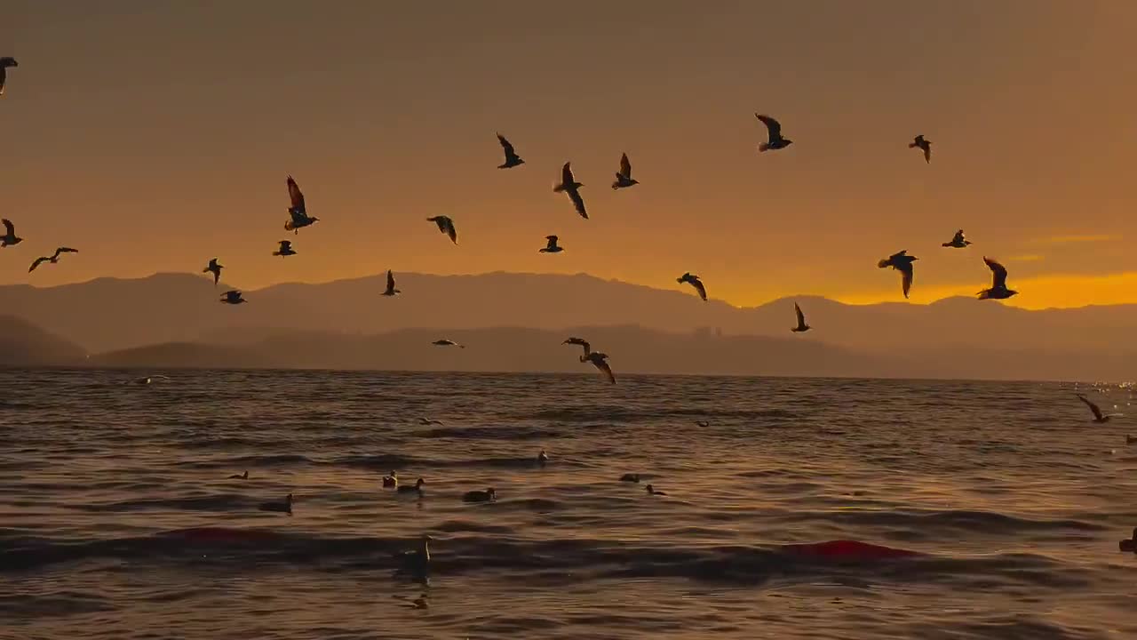 Look at the sea