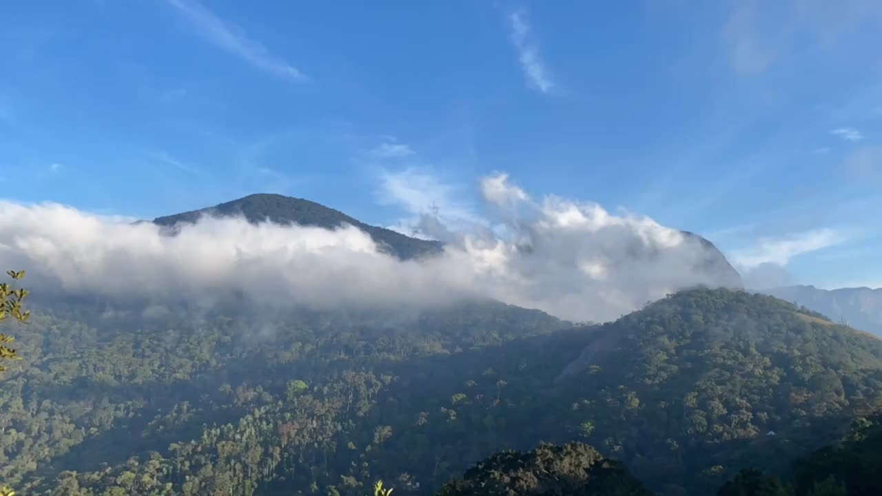 Foggy Morning in Munnar