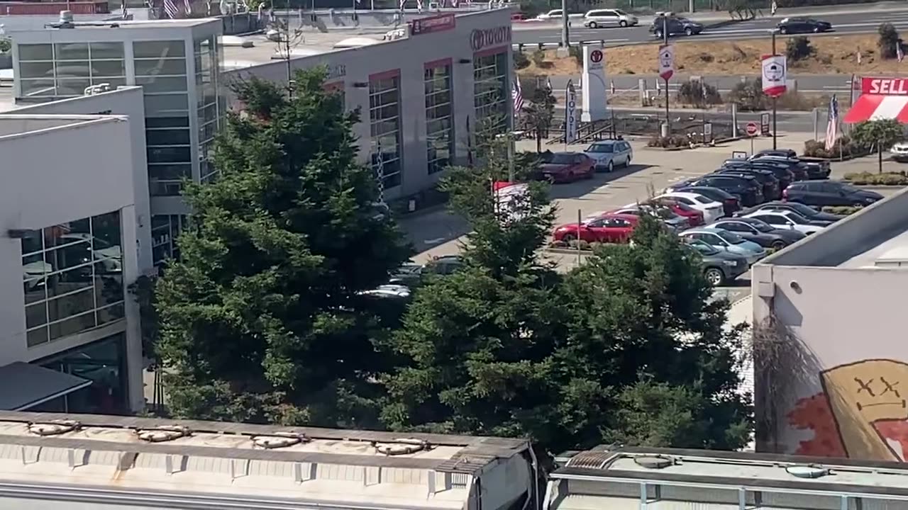 At least 2 people shot at Toyota Service Center in Albany