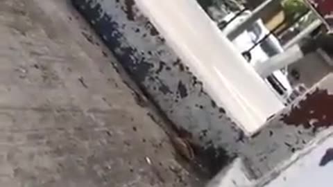 Mexico: Intense shootout reported in Rio Bravo, Tamaulipas.