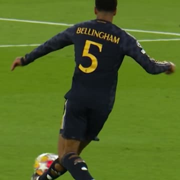 Beautiful Bellingham 💫