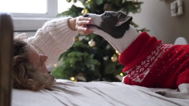 Happy woman and dog in knit sweaters next to Christmas tree play with food