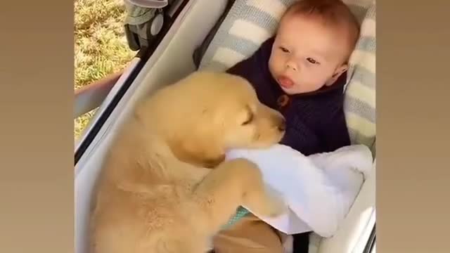 Cute puppy sleeping with a baby