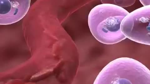 Lower Blood Glucose Levels in 3 weeks