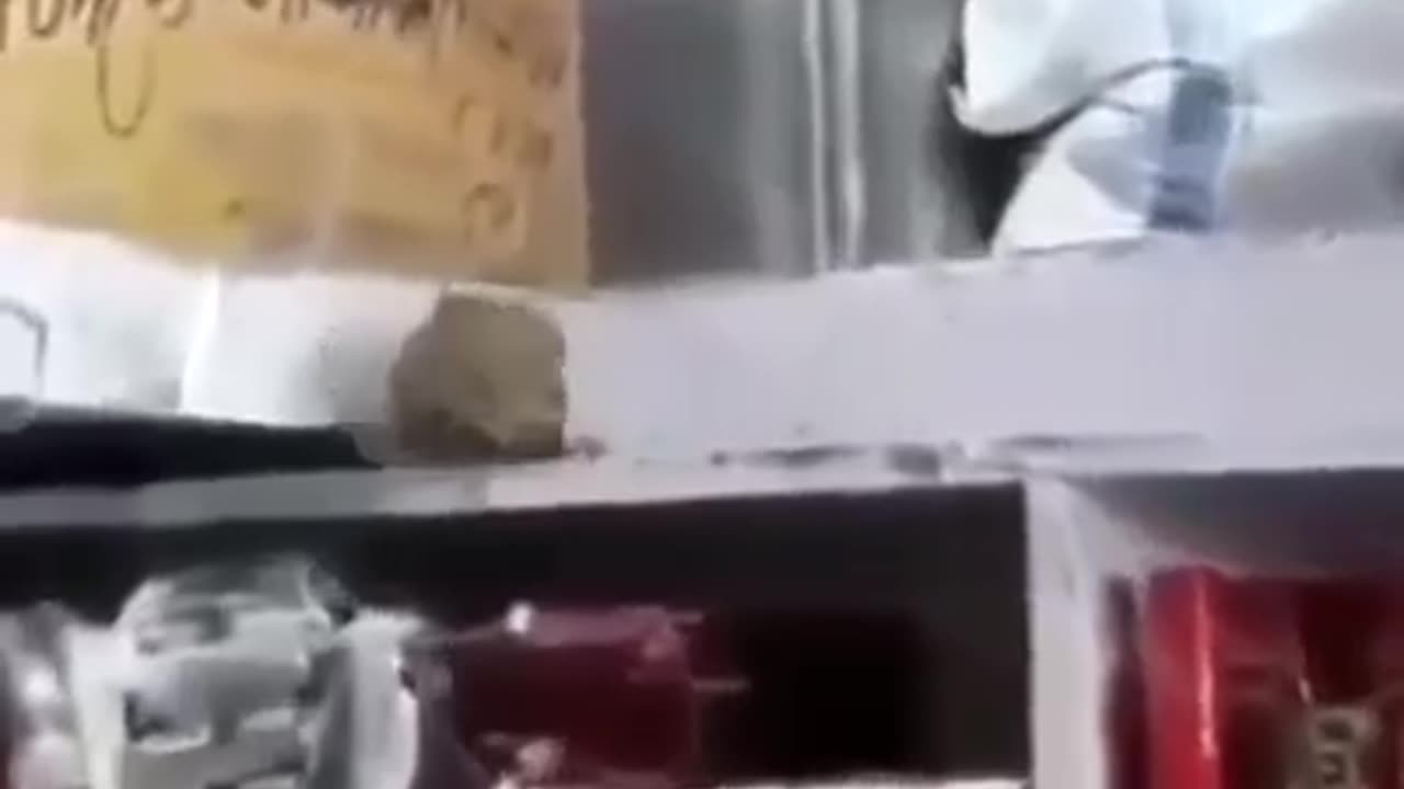 Rumble for cheese