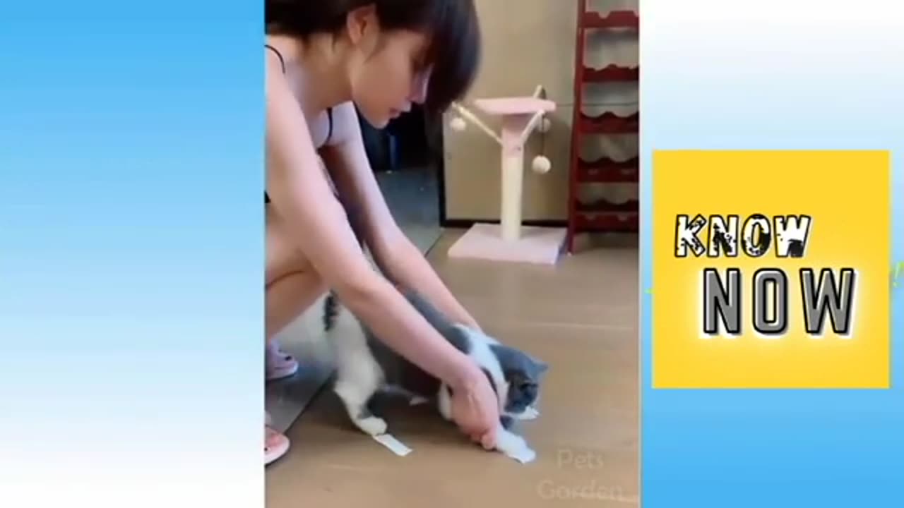 Funny Pets TRY NOT TO LAUGH (2020) || Know Now