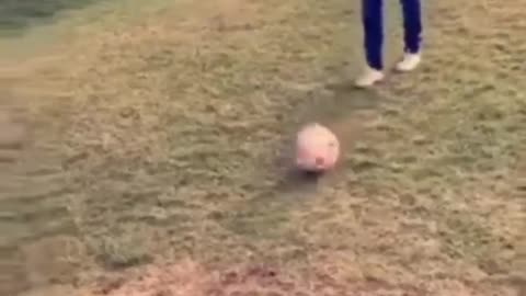 Respect Video