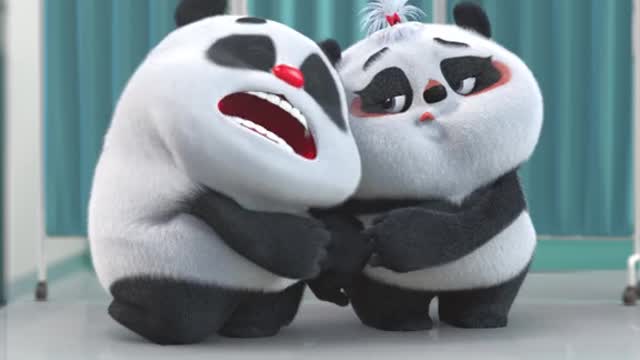 cute panda
