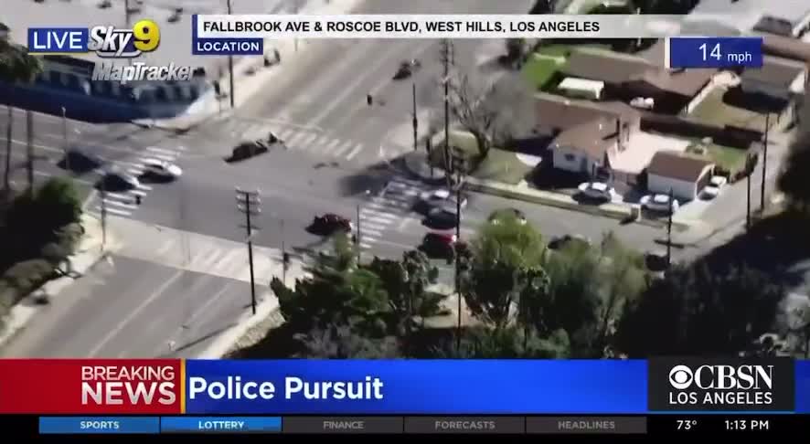 WARNING! GRAPHIC CONTENT! This video may be hard to watch.