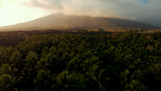 Cinematic shot of a volcano beyond the trees.