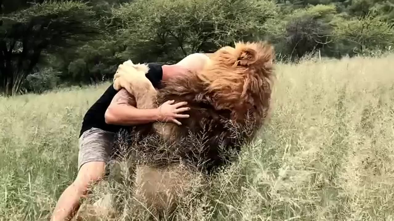 Zindagi