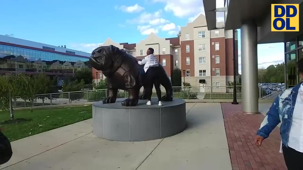 A family's pet dog chasing its own tail with dedication brought laughter to all.!