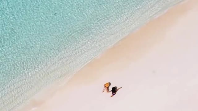 turtle's camera perspective