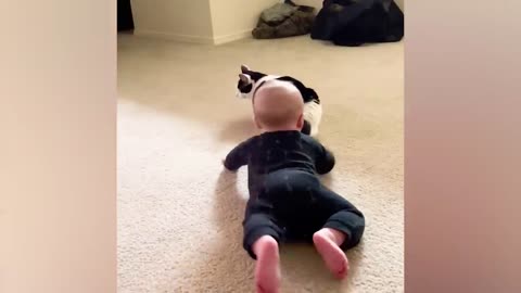 Best video of Cute Babies and Pets - Funny Baby and Pet