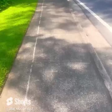 Why humans can’t fly_ Because yall lazy and wanna ride in a car or plane ✈️ scary cats