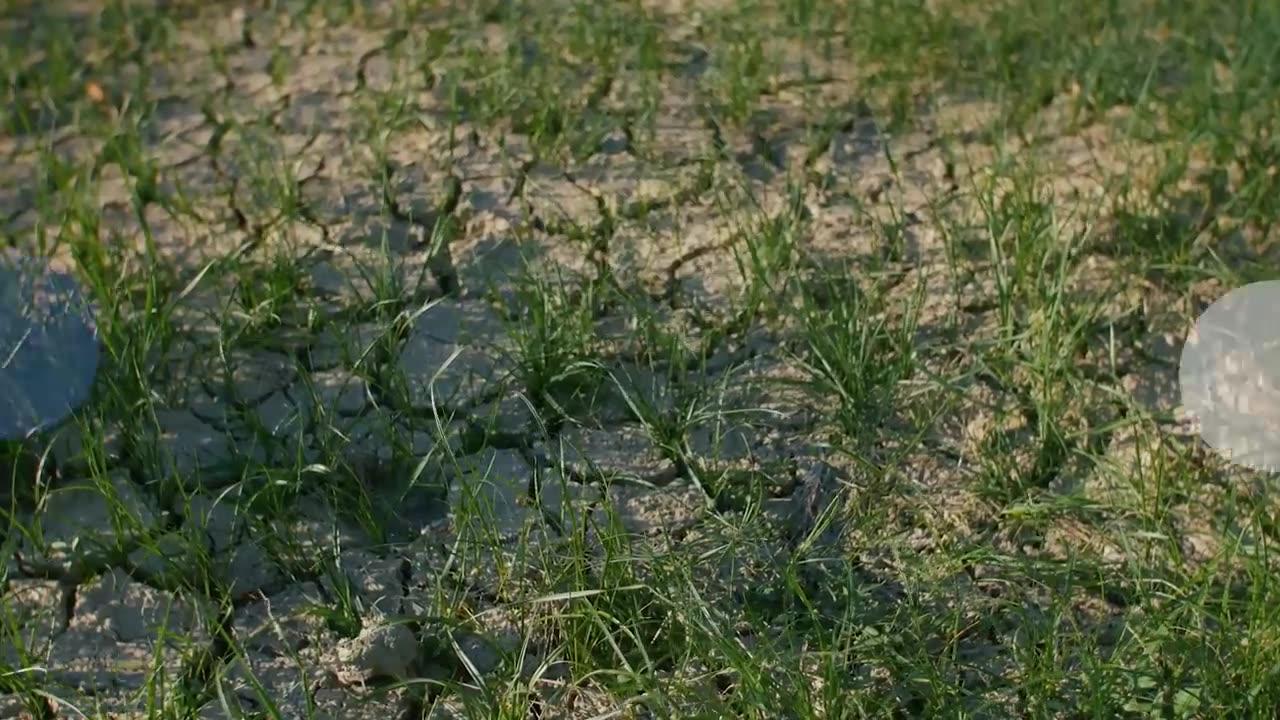 Is climate change the same as global warming? We asked for nasa expert