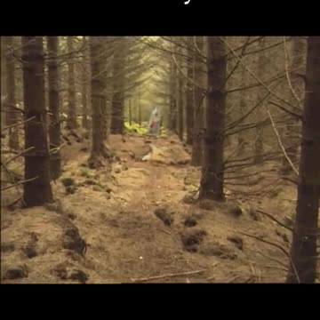 IRA Training Camp Discovered by Gardai🇮🇪