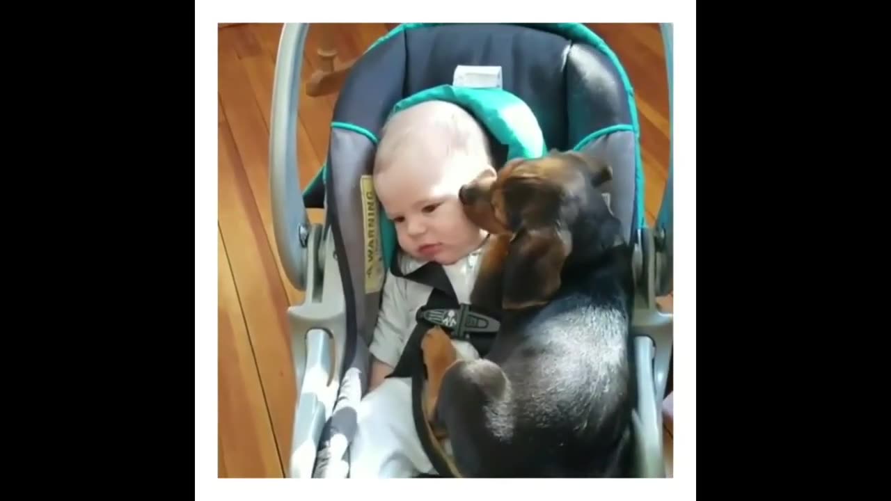 Cute and Funny || Kids with Pets || They are so caring