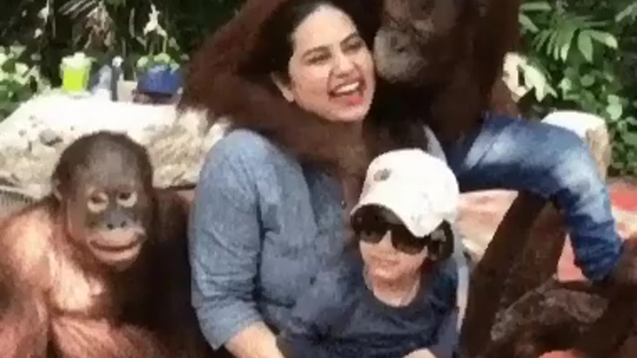 Funny animals video 2023