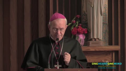 Bishop Schneider talks on the evils of the fetal tissue industry