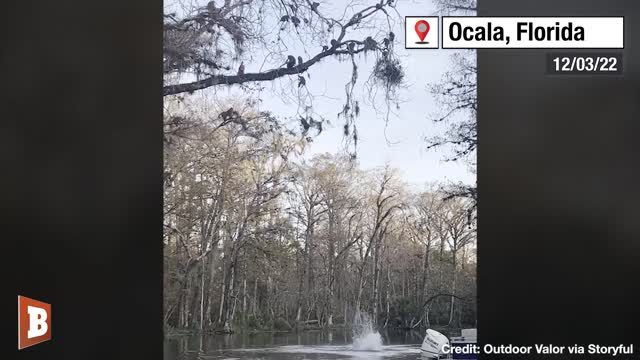 MONKEYS RESPOND TO THEIR 401Ks IN BIDEN ECONOMY