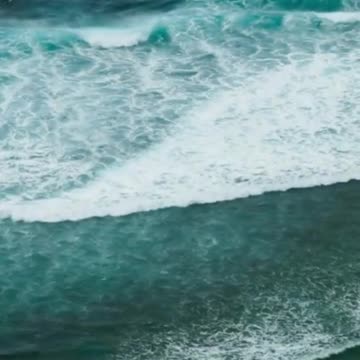 Riding the Market Wave Spotting and Following Trends