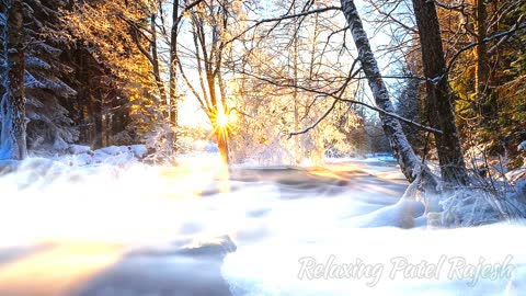 Relaxing Music | Sleeping, Meditation, Stress Relief | [1025] ⭐️