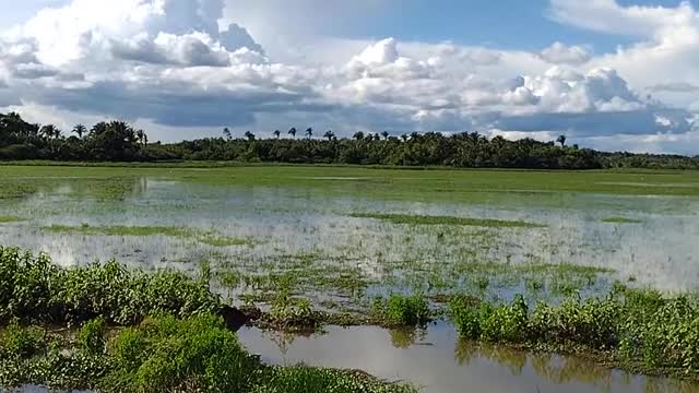 Linda paisagem