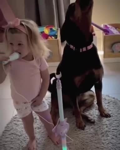 This dog on backing vocals