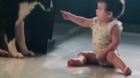 Animal helpful