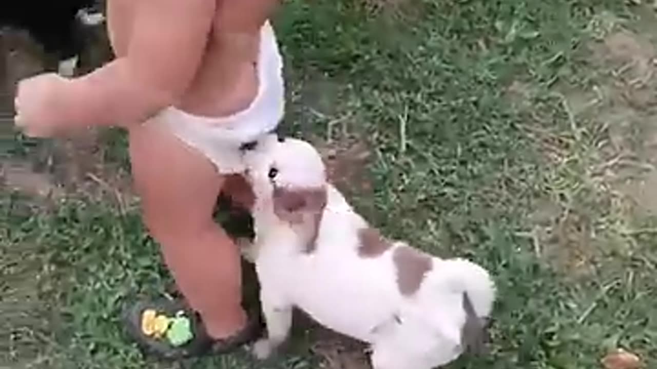 Baby and puppy friendship