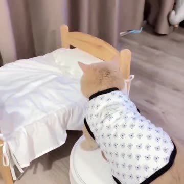 Oh my..what a Princess