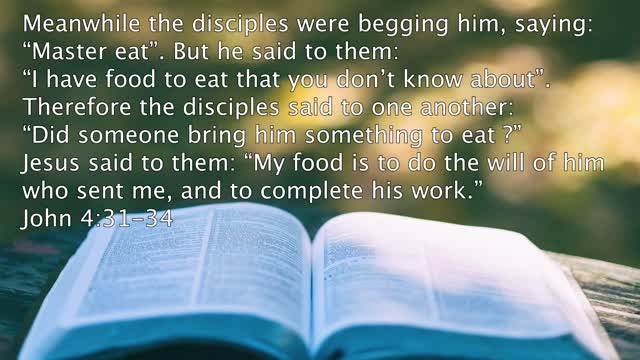 My food is to do the will of God | Jesus