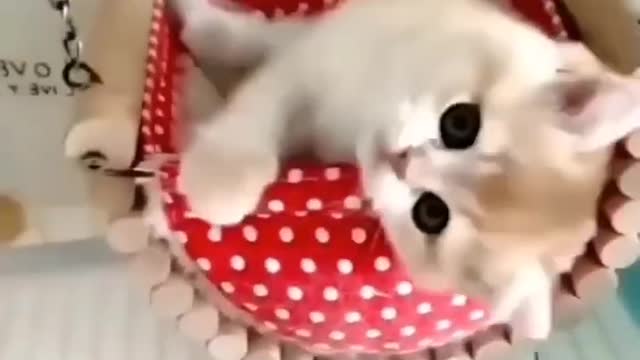 she is sleeping