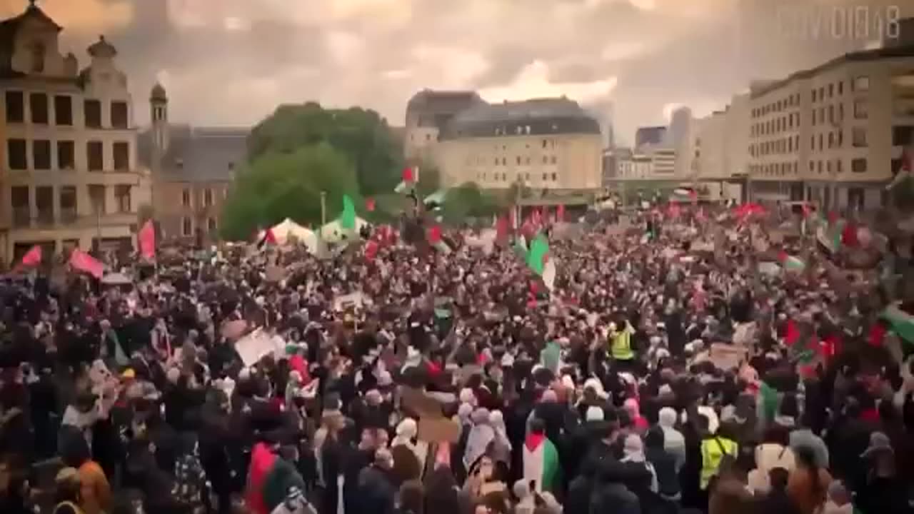 Glimpse of protests for #Palestine