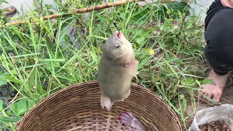Beautiful girl vs river monster