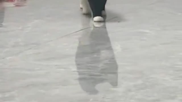 howdidyoudothat
