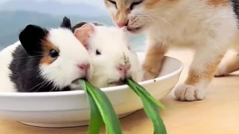 You guys look delicious