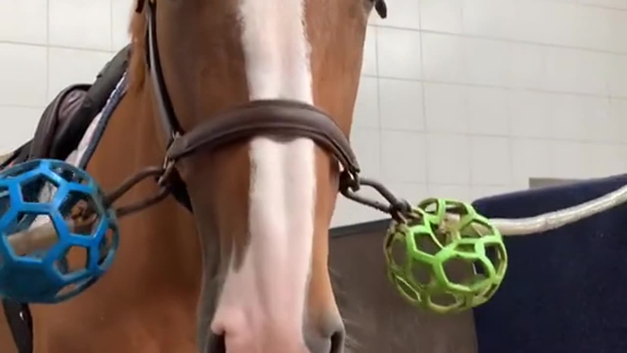 😁😊