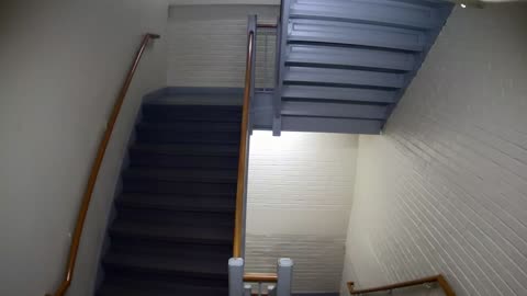 3881FHOB03Stair6_2021-01-06_09h40min00s963ms.mp4