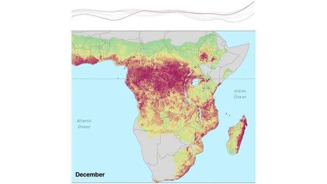 Fluctuations /Triggers: Ebola Virus Spillover in Africa