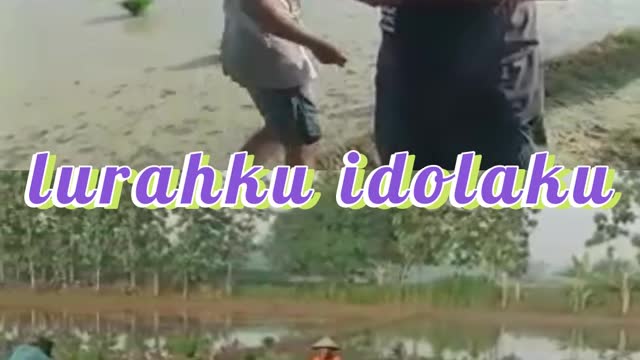 Kades viral bagi bagi uang disawah