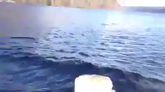 Evidence that Nessie is real!!! Nae computer graphics involved in this wan...