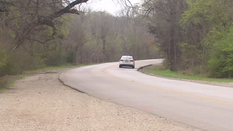 Surveillance video captures man abandoning dog on side of Dallas street