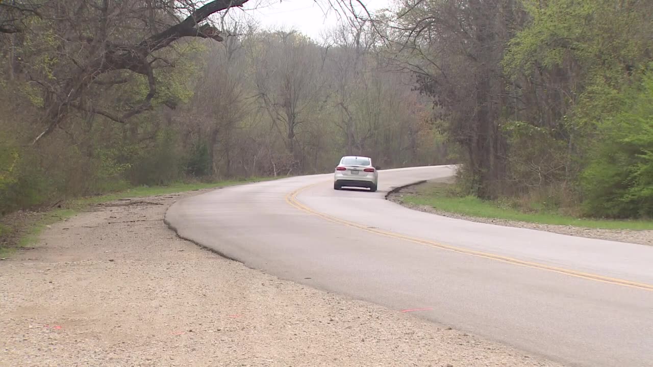 Surveillance video captures man abandoning dog on side of Dallas street