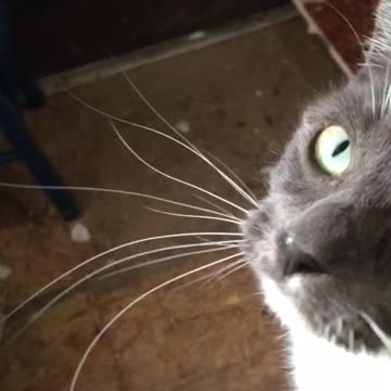 My daddy passed away January 6 2022