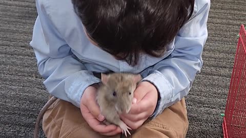 Cute baby and pet rat