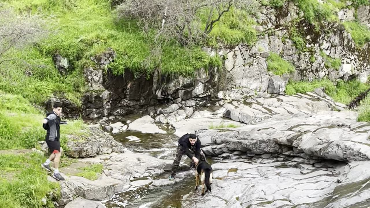 Dog Rides A Natural Waterslide